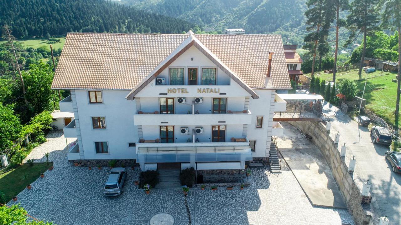 Natali Hotel Borjomi Ngoại thất bức ảnh