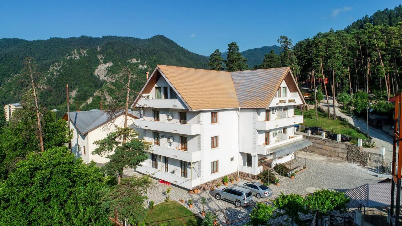 Natali Hotel Borjomi Ngoại thất bức ảnh