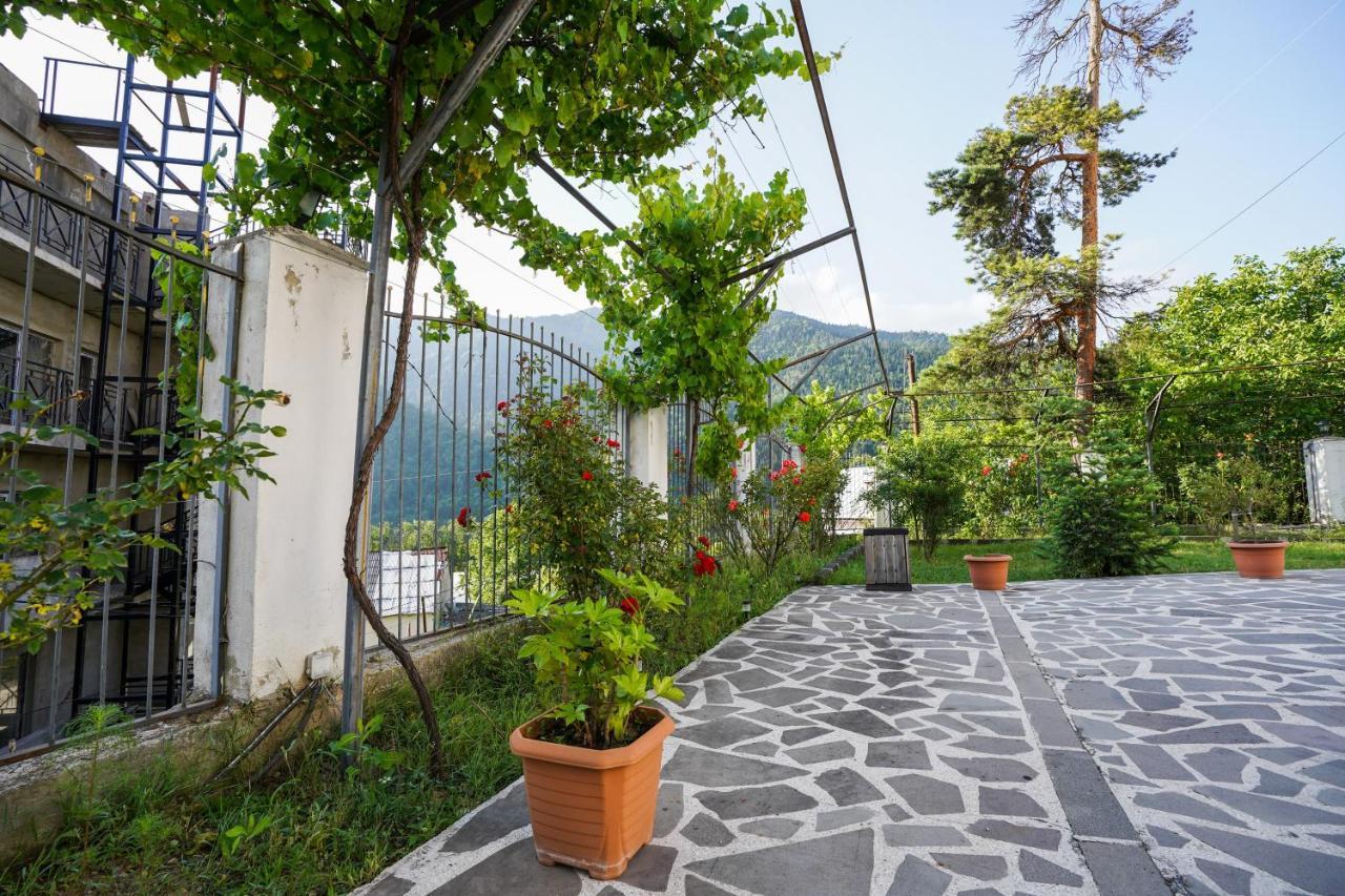 Natali Hotel Borjomi Ngoại thất bức ảnh