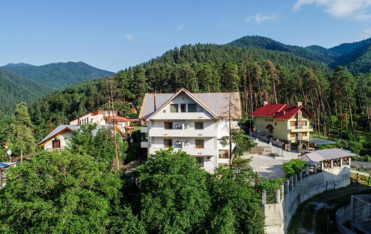Natali Hotel Borjomi Ngoại thất bức ảnh