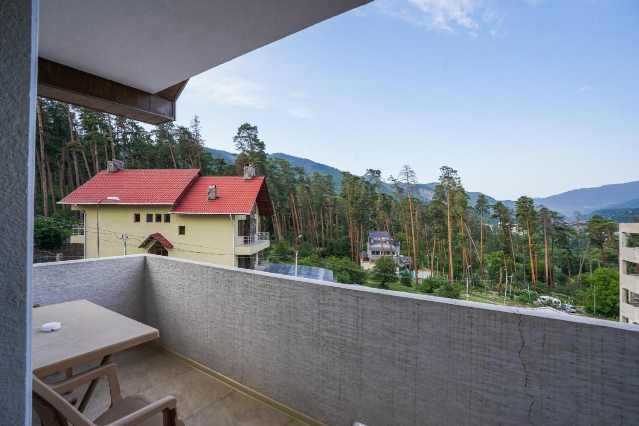 Natali Hotel Borjomi Ngoại thất bức ảnh