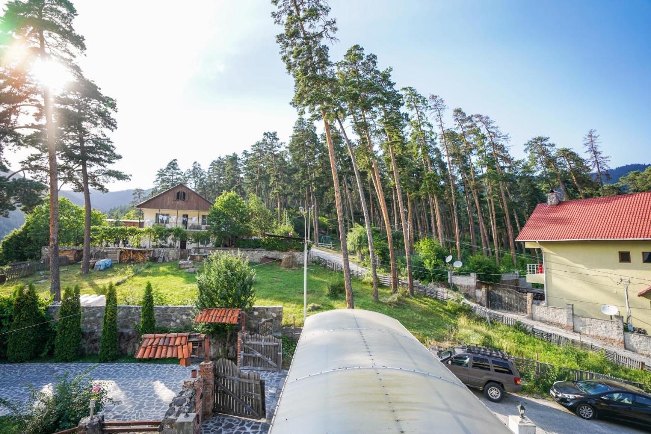 Natali Hotel Borjomi Ngoại thất bức ảnh