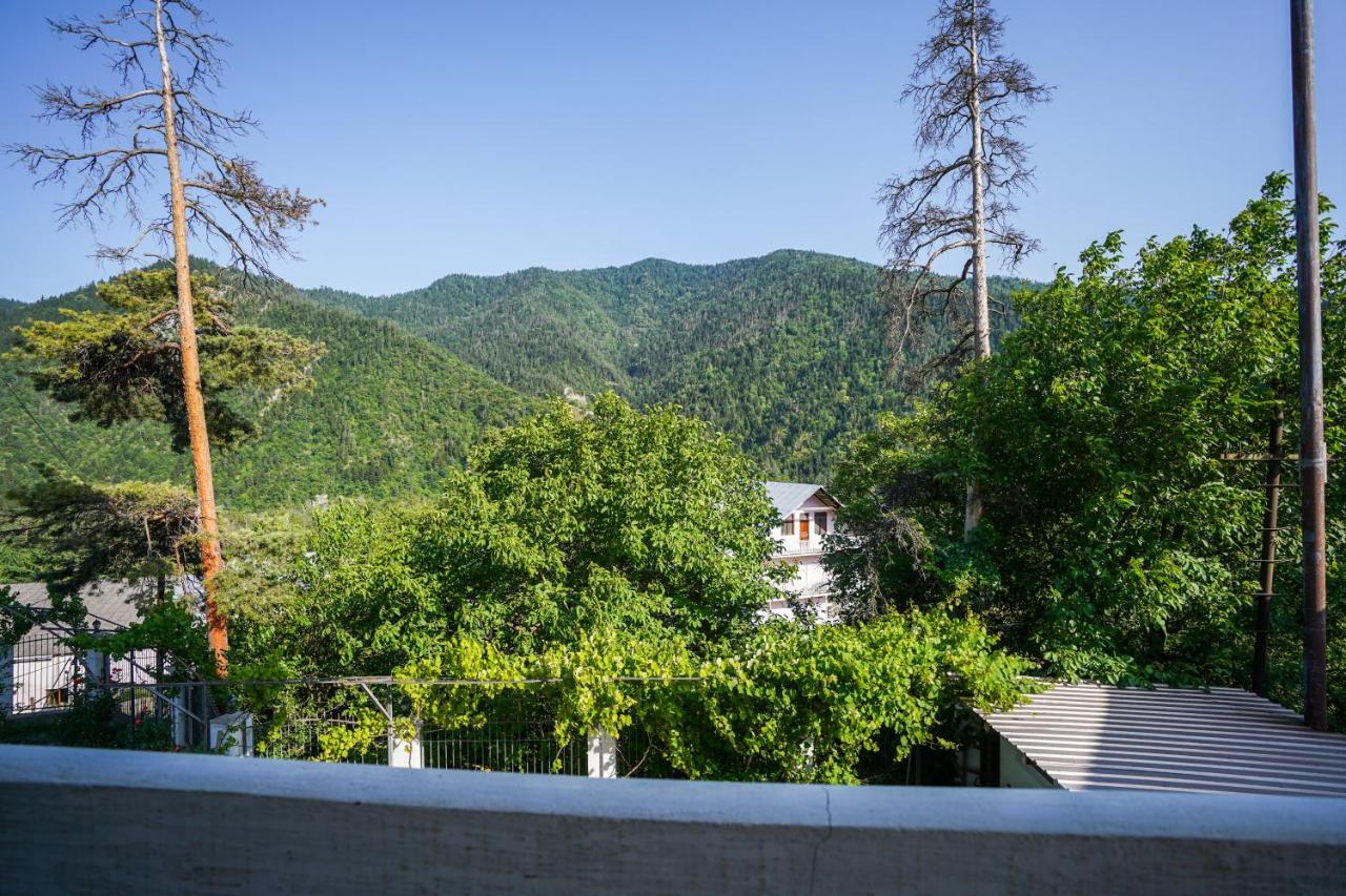 Natali Hotel Borjomi Ngoại thất bức ảnh