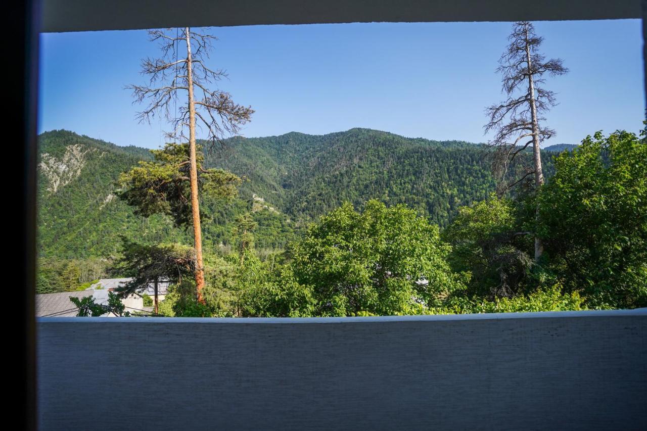 Natali Hotel Borjomi Ngoại thất bức ảnh