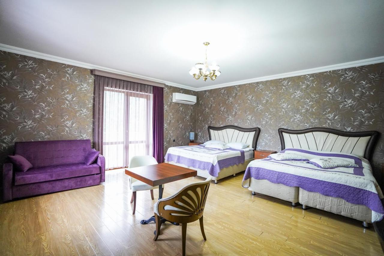 Natali Hotel Borjomi Ngoại thất bức ảnh