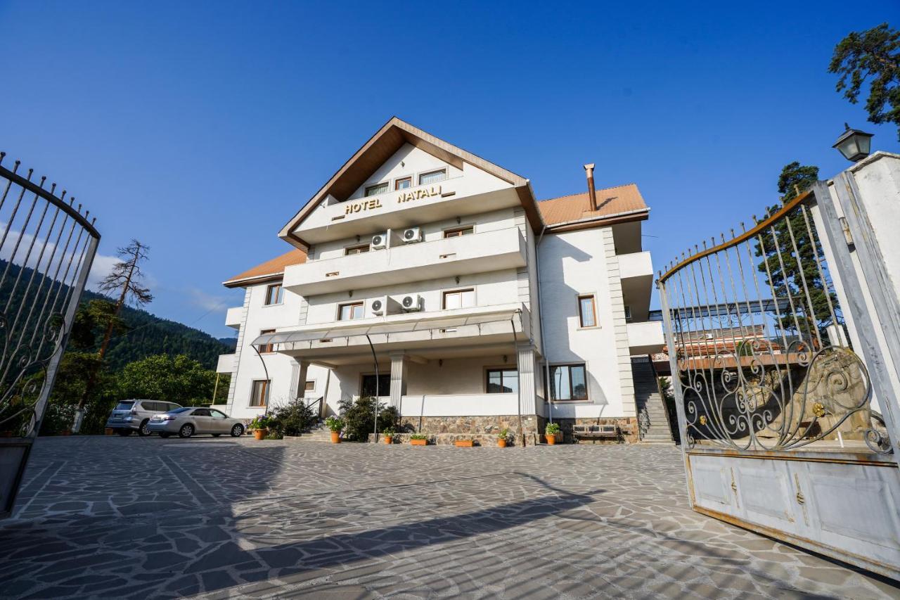 Natali Hotel Borjomi Ngoại thất bức ảnh