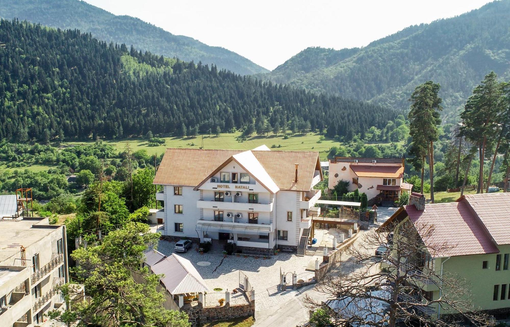 Natali Hotel Borjomi Ngoại thất bức ảnh