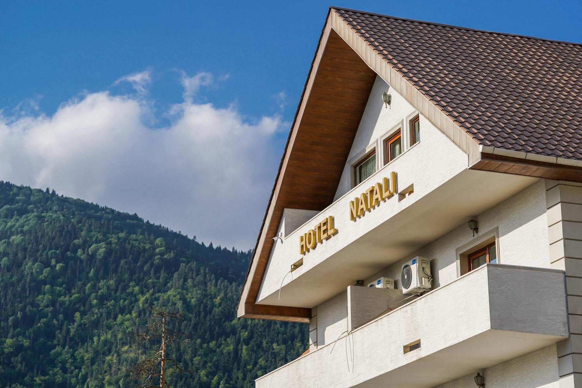 Natali Hotel Borjomi Ngoại thất bức ảnh
